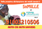 movimento shalom